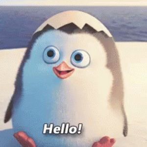 Meet your Posher, Bailey